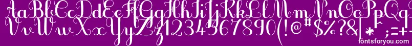 JbcursiveV3Bold Font – White Fonts on Purple Background