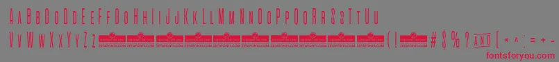 AlienscowsExtralightTrial Font – Red Fonts on Gray Background