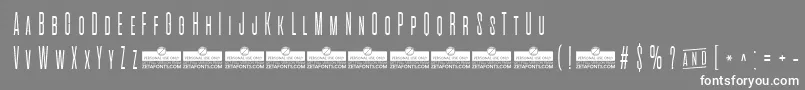 AlienscowsExtralightTrial Font – White Fonts on Gray Background