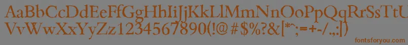 BambergantiqueRegular Font – Brown Fonts on Gray Background