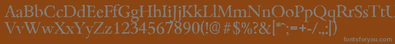 BambergantiqueRegular Font – Gray Fonts on Brown Background