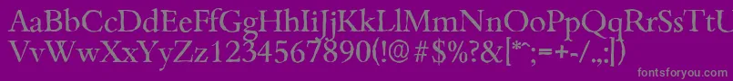 BambergantiqueRegular-Schriftart – Graue Schriften auf violettem Hintergrund