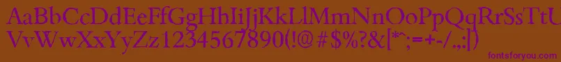 BambergantiqueRegular Font – Purple Fonts on Brown Background