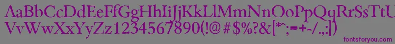Шрифт BambergantiqueRegular – фиолетовые шрифты на сером фоне