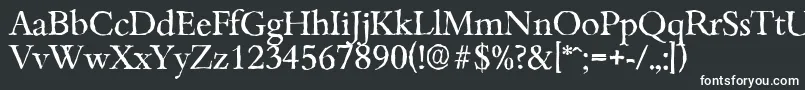 Шрифт BambergantiqueRegular – белые шрифты на чёрном фоне