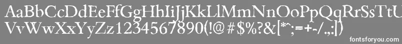 BambergantiqueRegular-fontti – valkoiset fontit harmaalla taustalla