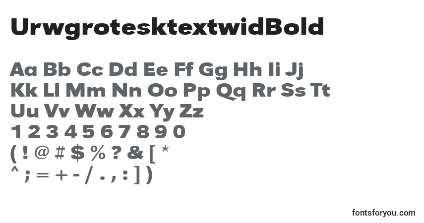 Шрифт UrwgrotesktextwidBold – алфавит, цифры, специальные символы