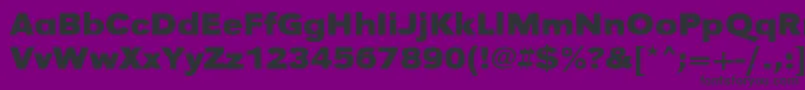 UrwgrotesktextwidBold Font – Black Fonts on Purple Background