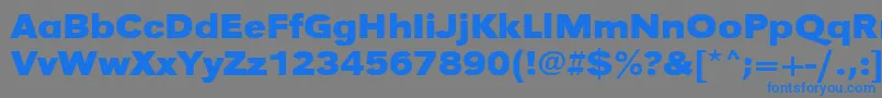 Шрифт UrwgrotesktextwidBold – синие шрифты на сером фоне