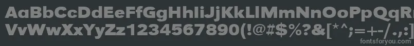 Шрифт UrwgrotesktextwidBold – серые шрифты на чёрном фоне