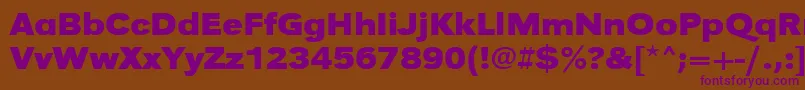 UrwgrotesktextwidBold-fontti – violetit fontit ruskealla taustalla