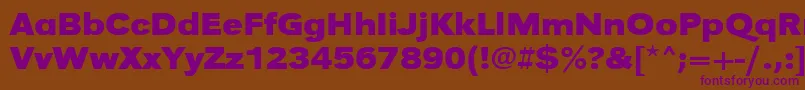 UrwgrotesktextwidBold Font – Purple Fonts on Brown Background