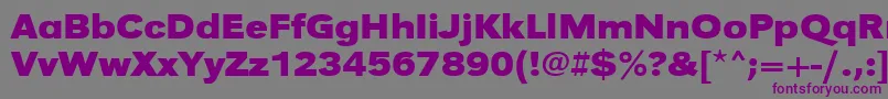 Шрифт UrwgrotesktextwidBold – фиолетовые шрифты на сером фоне