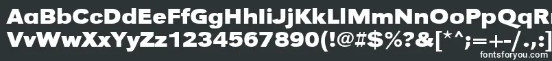 UrwgrotesktextwidBold Font – White Fonts on Black Background