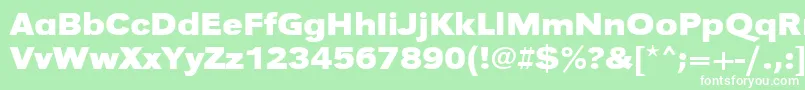 Шрифт UrwgrotesktextwidBold – белые шрифты на зелёном фоне