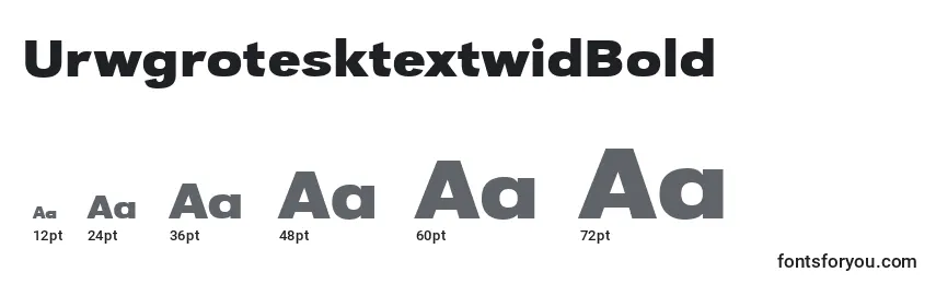 Tamaños de fuente UrwgrotesktextwidBold