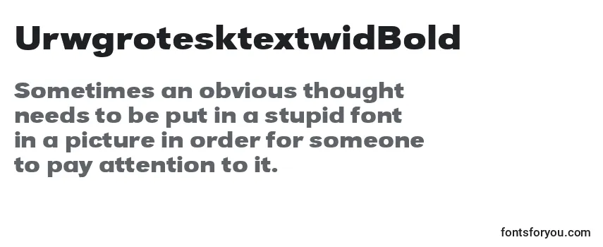 UrwgrotesktextwidBold Font