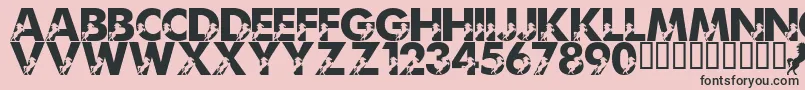 LmsMightyMustang Font – Black Fonts on Pink Background