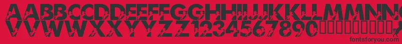 LmsMightyMustang Font – Black Fonts on Red Background