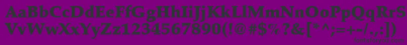 Latinopal8Blacksh Font – Black Fonts on Purple Background