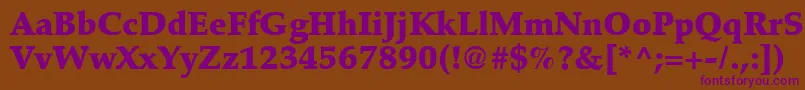 Latinopal8Blacksh Font – Purple Fonts on Brown Background