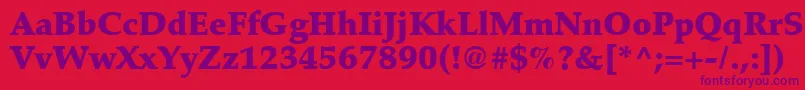 Latinopal8Blacksh Font – Purple Fonts on Red Background