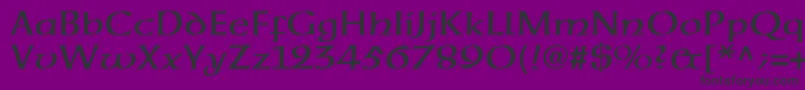Neuehammerunzialeltstd Font – Black Fonts on Purple Background