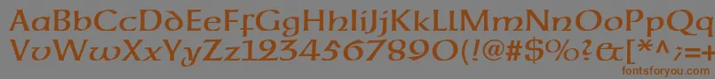 Neuehammerunzialeltstd Font – Brown Fonts on Gray Background