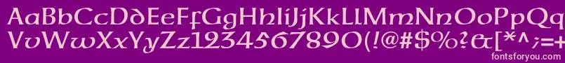 Neuehammerunzialeltstd Font – Pink Fonts on Purple Background