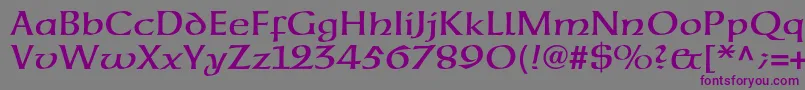 Neuehammerunzialeltstd Font – Purple Fonts on Gray Background