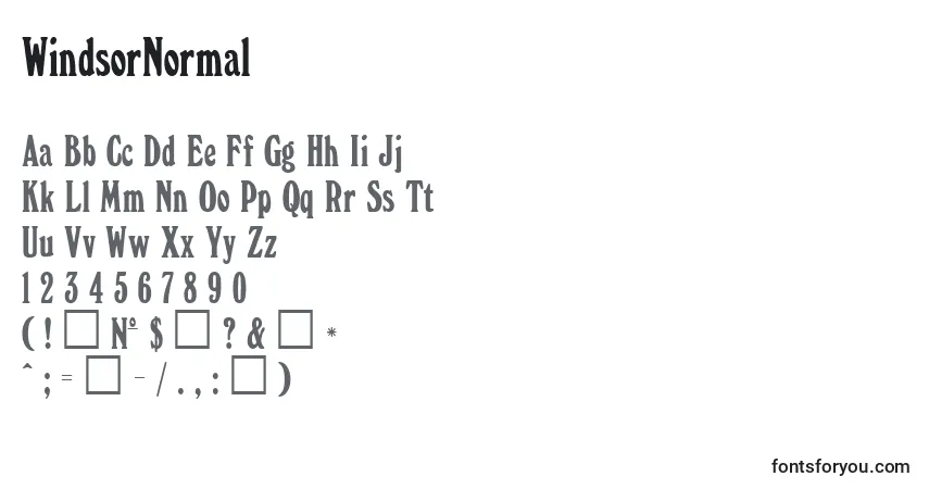 A fonte WindsorNormal – alfabeto, números, caracteres especiais