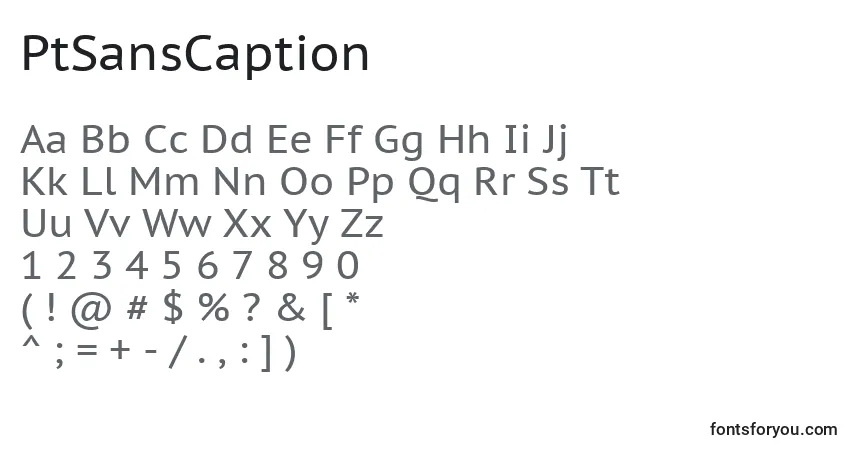 Czcionka PtSansCaption – alfabet, cyfry, specjalne znaki