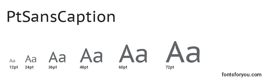 PtSansCaption Font Sizes