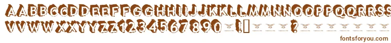 Tacotruckmilitia Font – Brown Fonts on White Background