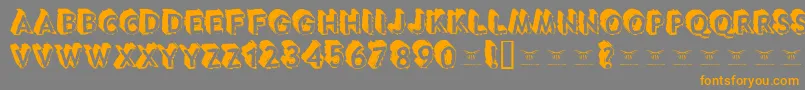 Tacotruckmilitia Font – Orange Fonts on Gray Background