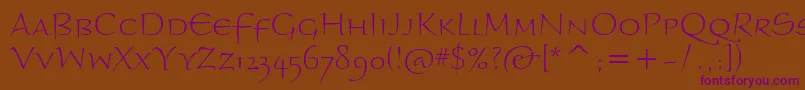 BraganzaScItcLight Font – Purple Fonts on Brown Background