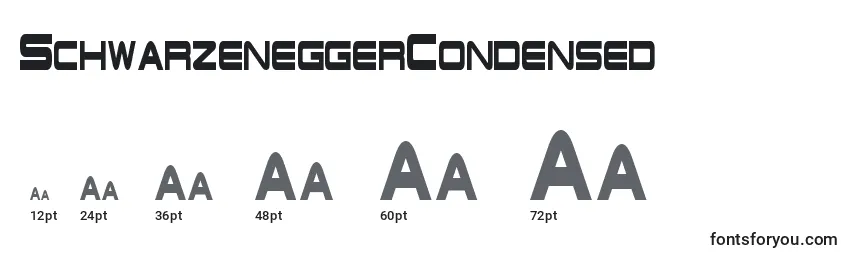 Размеры шрифта SchwarzeneggerCondensed