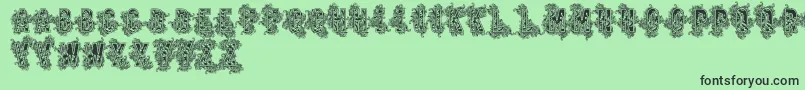 Vtksbeauty Font – Black Fonts on Green Background