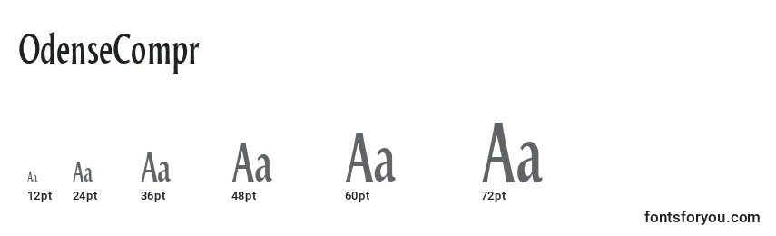 OdenseCompr Font Sizes