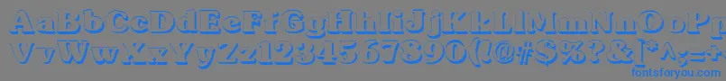 TypographersubwayShadow Font – Blue Fonts on Gray Background