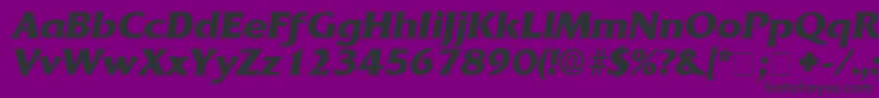 AnticlaireDisplaySsiItalic Font – Black Fonts on Purple Background