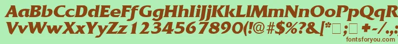 AnticlaireDisplaySsiItalic Font – Brown Fonts on Green Background