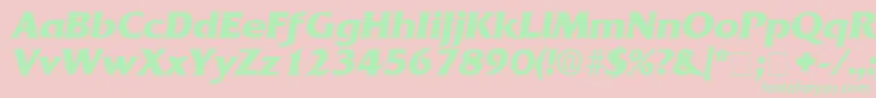 AnticlaireDisplaySsiItalic Font – Green Fonts on Pink Background