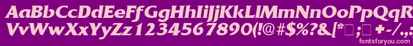 AnticlaireDisplaySsiItalic Font – Pink Fonts on Purple Background