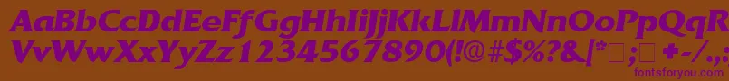 AnticlaireDisplaySsiItalic Font – Purple Fonts on Brown Background