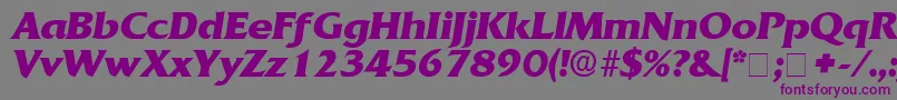 AnticlaireDisplaySsiItalic Font – Purple Fonts on Gray Background