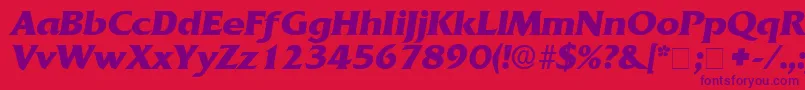 AnticlaireDisplaySsiItalic-Schriftart – Violette Schriften auf rotem Hintergrund