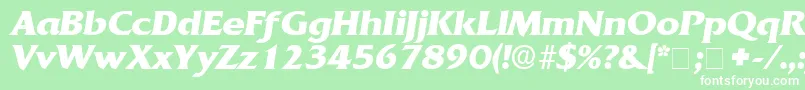 AnticlaireDisplaySsiItalic Font – White Fonts on Green Background