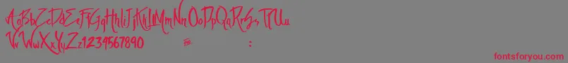 Theambiencedemo Font – Red Fonts on Gray Background