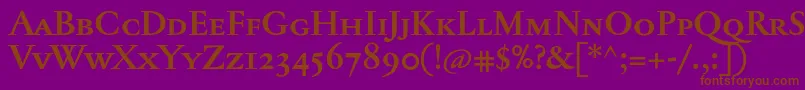 Police JannontextmedscBold – polices brunes sur fond violet